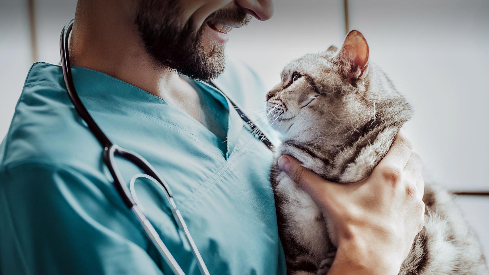 Kızılcahamam Veteriner